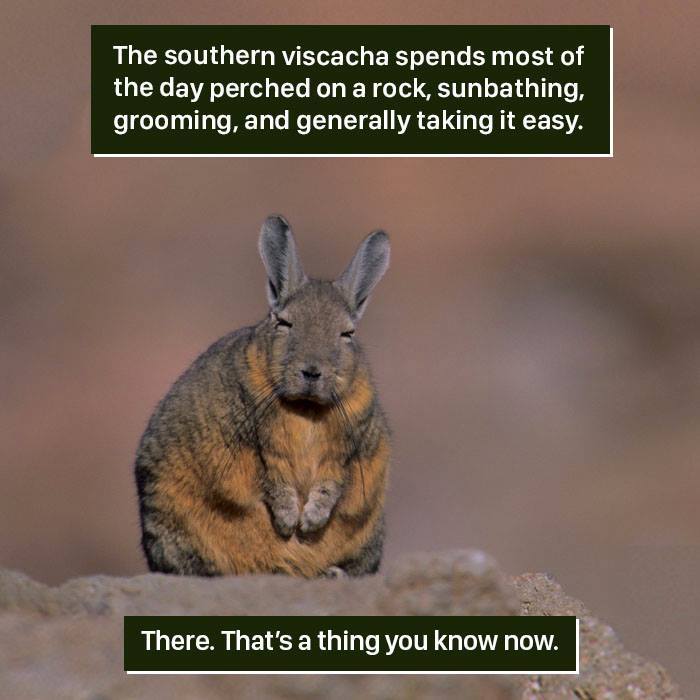 116 Times Nature Proved It&#8217;s Too Weird For Us To Handle