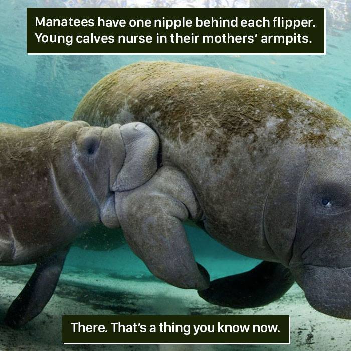 116 Times Nature Proved It&#8217;s Too Weird For Us To Handle