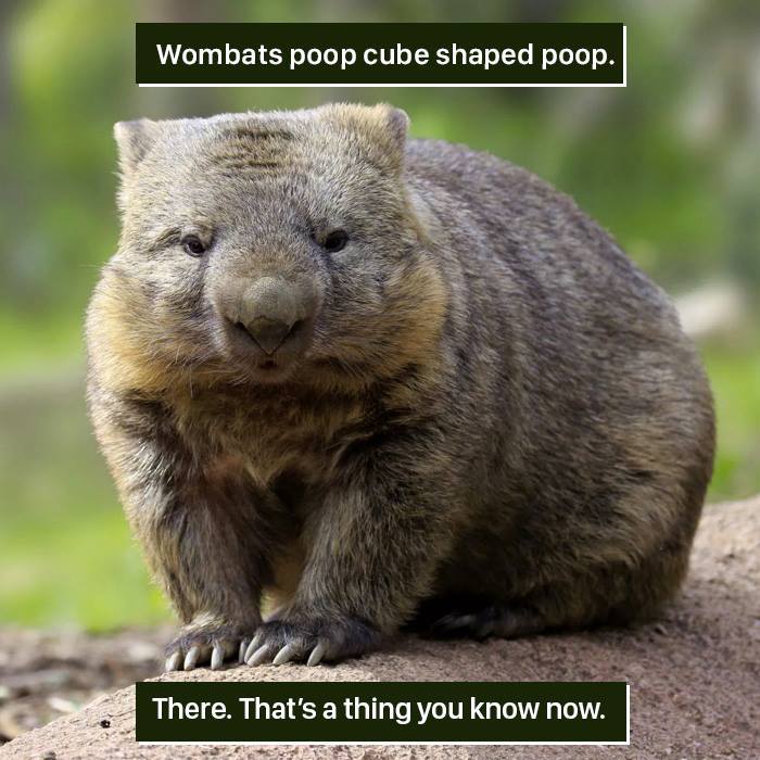 116 Times Nature Proved It&#8217;s Too Weird For Us To Handle