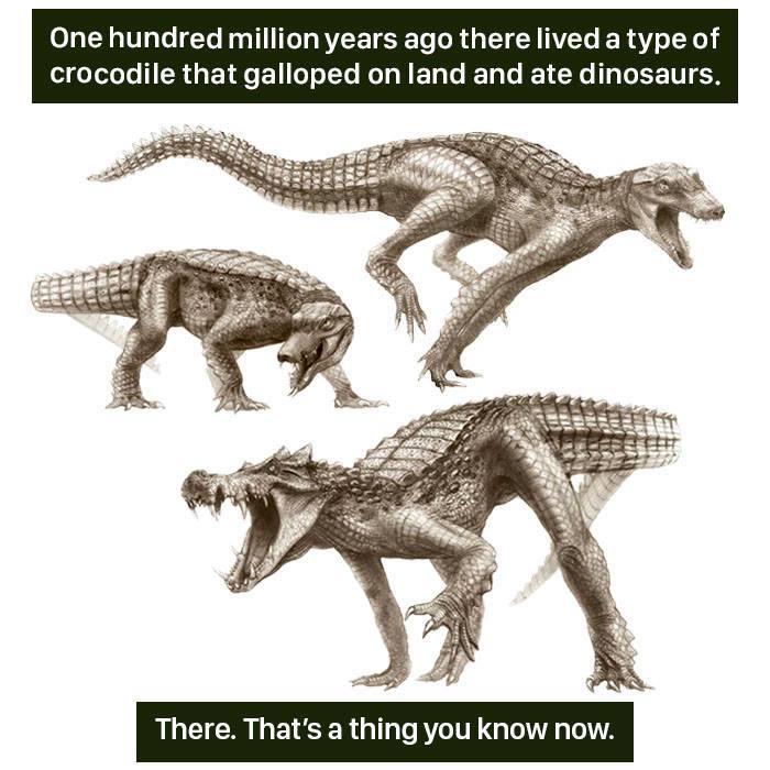 116 Times Nature Proved It&#8217;s Too Weird For Us To Handle