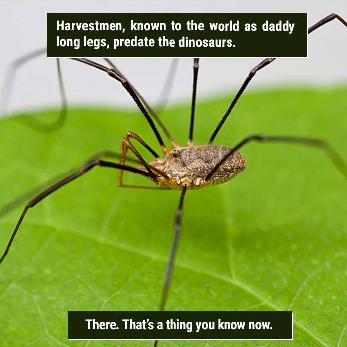 116 Times Nature Proved It&#8217;s Too Weird For Us To Handle
