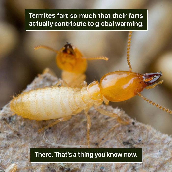 116 Times Nature Proved It&#8217;s Too Weird For Us To Handle
