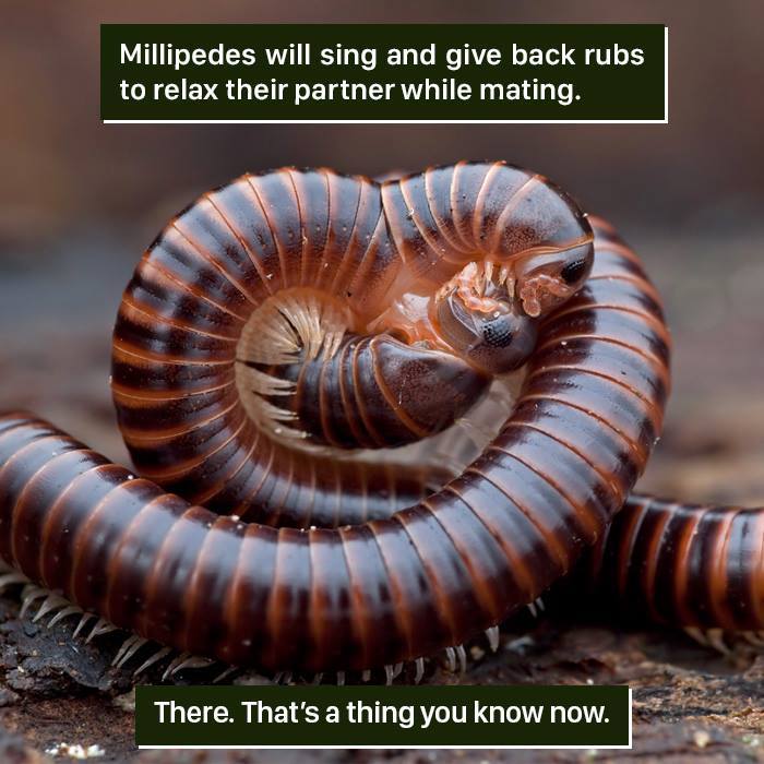 116 Times Nature Proved It&#8217;s Too Weird For Us To Handle