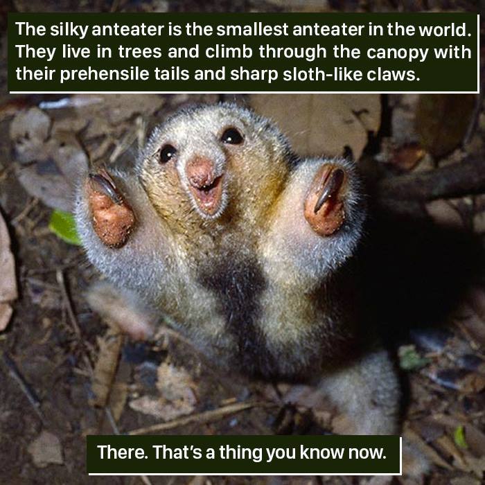 116 Times Nature Proved It&#8217;s Too Weird For Us To Handle