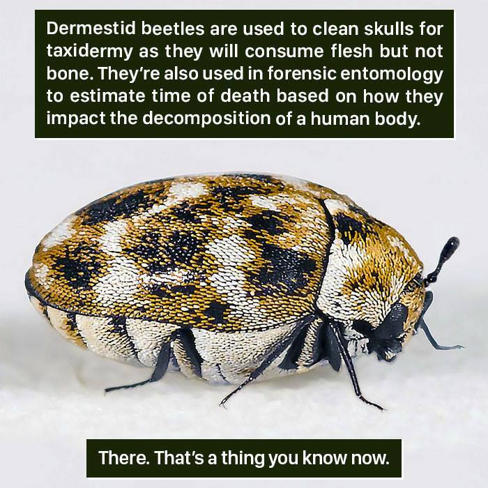 116 Times Nature Proved It&#8217;s Too Weird For Us To Handle