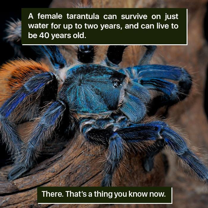 116 Times Nature Proved It&#8217;s Too Weird For Us To Handle