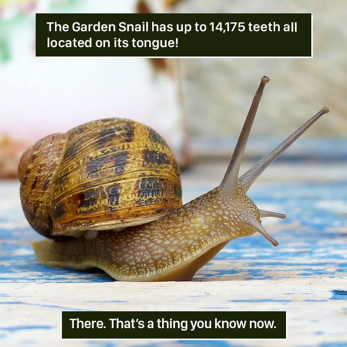116 Times Nature Proved It&#8217;s Too Weird For Us To Handle