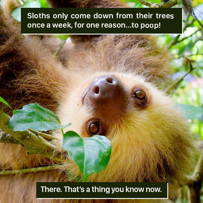 116 Times Nature Proved It&#8217;s Too Weird For Us To Handle