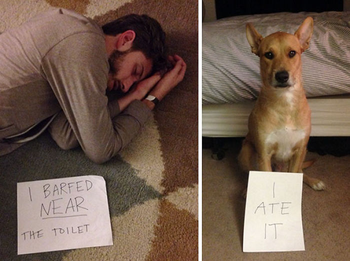 50 Times Drinking Didn&#8217;t End Well