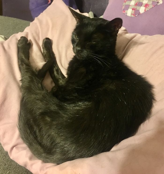 Post Your “Not So Perfect” Pets That Are Perfect To You Post Your “Not So Perfect” Pets That Are Perfect To You