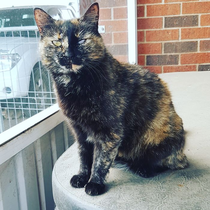 Post Your “Not So Perfect” Pets That Are Perfect To You Post Your “Not So Perfect” Pets That Are Perfect To You