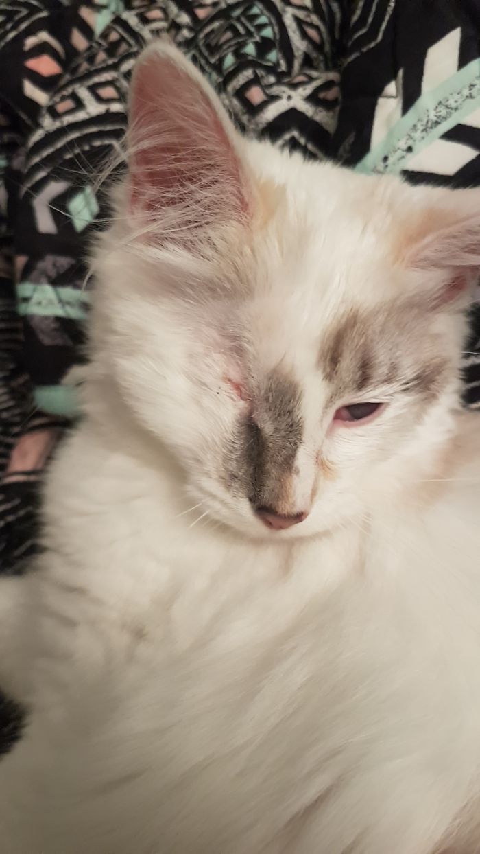 Post Your “Not So Perfect” Pets That Are Perfect To You Post Your “Not So Perfect” Pets That Are Perfect To You