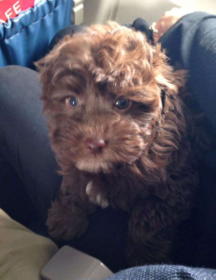 114 Flights That Had The Best Passengers 114 Flights That Had The Best Passengers