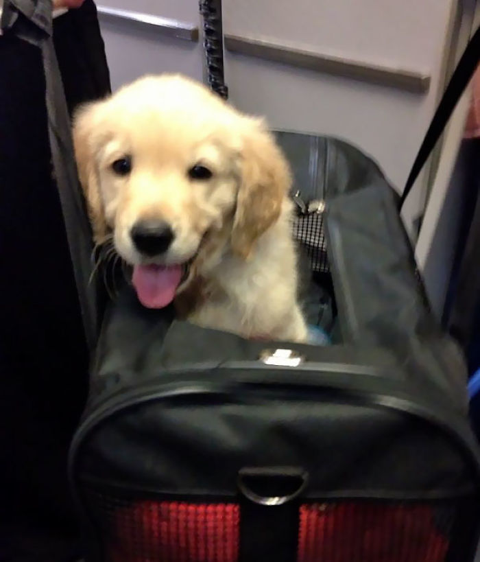 114 Flights That Had The Best Passengers 114 Flights That Had The Best Passengers