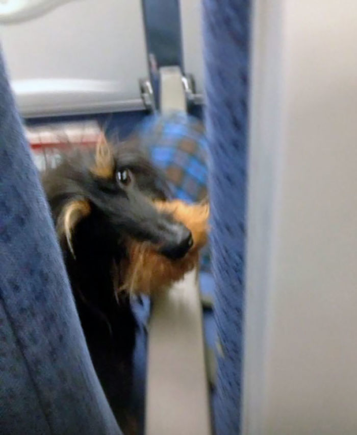 114 Flights That Had The Best Passengers 114 Flights That Had The Best Passengers