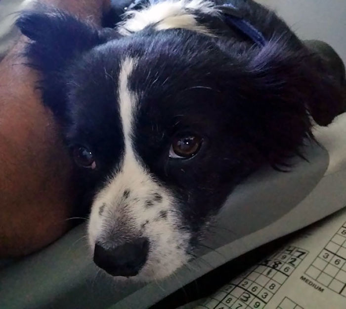 114 Flights That Had The Best Passengers 114 Flights That Had The Best Passengers