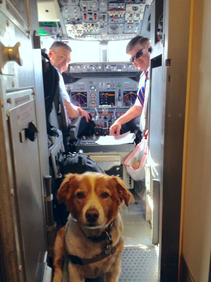 114 Flights That Had The Best Passengers 114 Flights That Had The Best Passengers