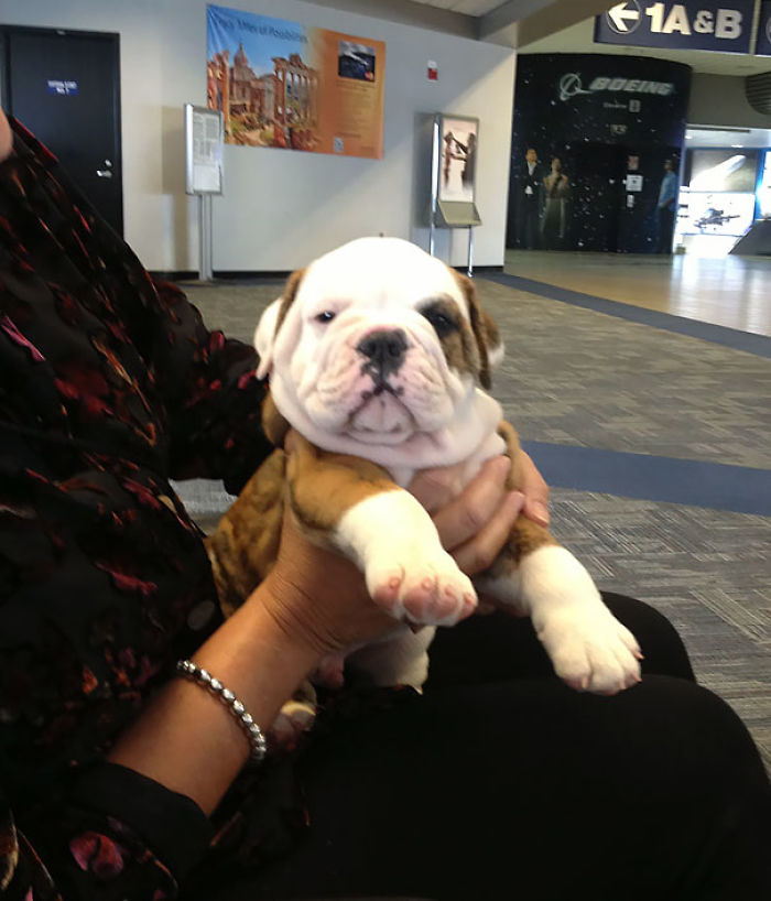 114 Flights That Had The Best Passengers 114 Flights That Had The Best Passengers