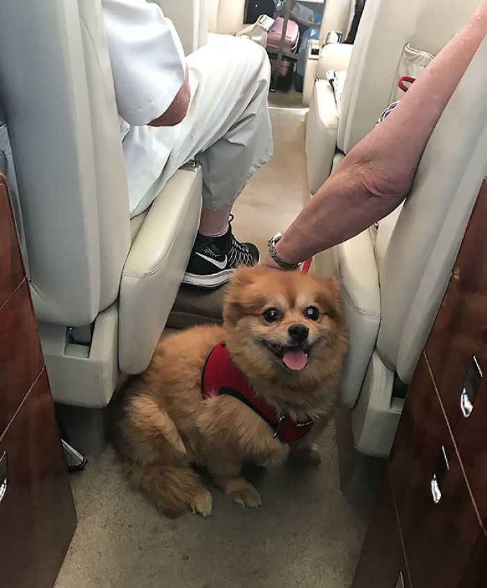 114 Flights That Had The Best Passengers 114 Flights That Had The Best Passengers