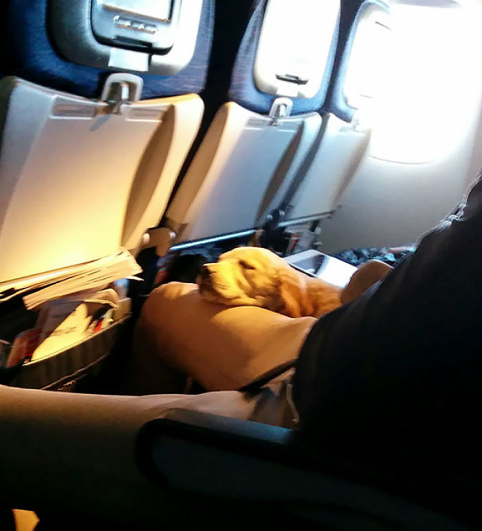 114 Flights That Had The Best Passengers 114 Flights That Had The Best Passengers