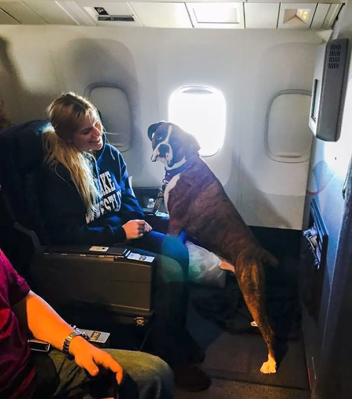 114 Flights That Had The Best Passengers 114 Flights That Had The Best Passengers