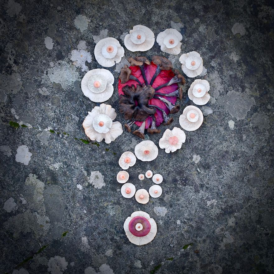 I Create My Own Dream World Using Wild Mushrooms