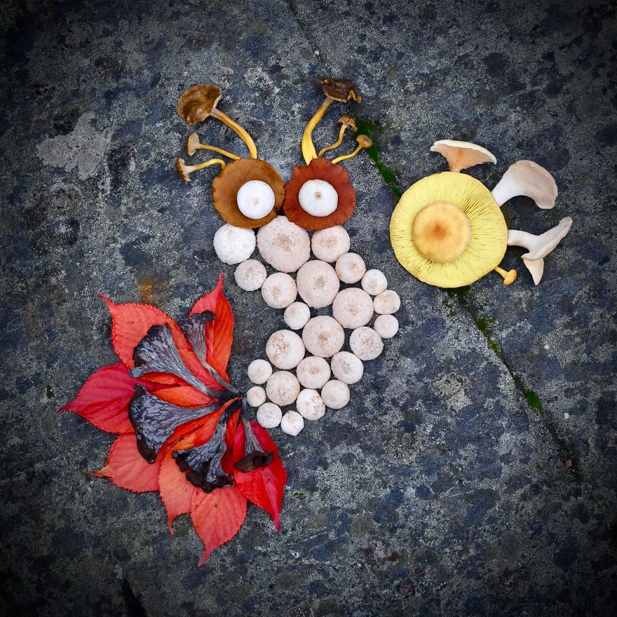 I Create My Own Dream World Using Wild Mushrooms