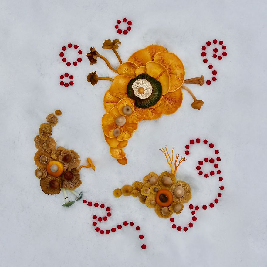 I Create My Own Dream World Using Wild Mushrooms