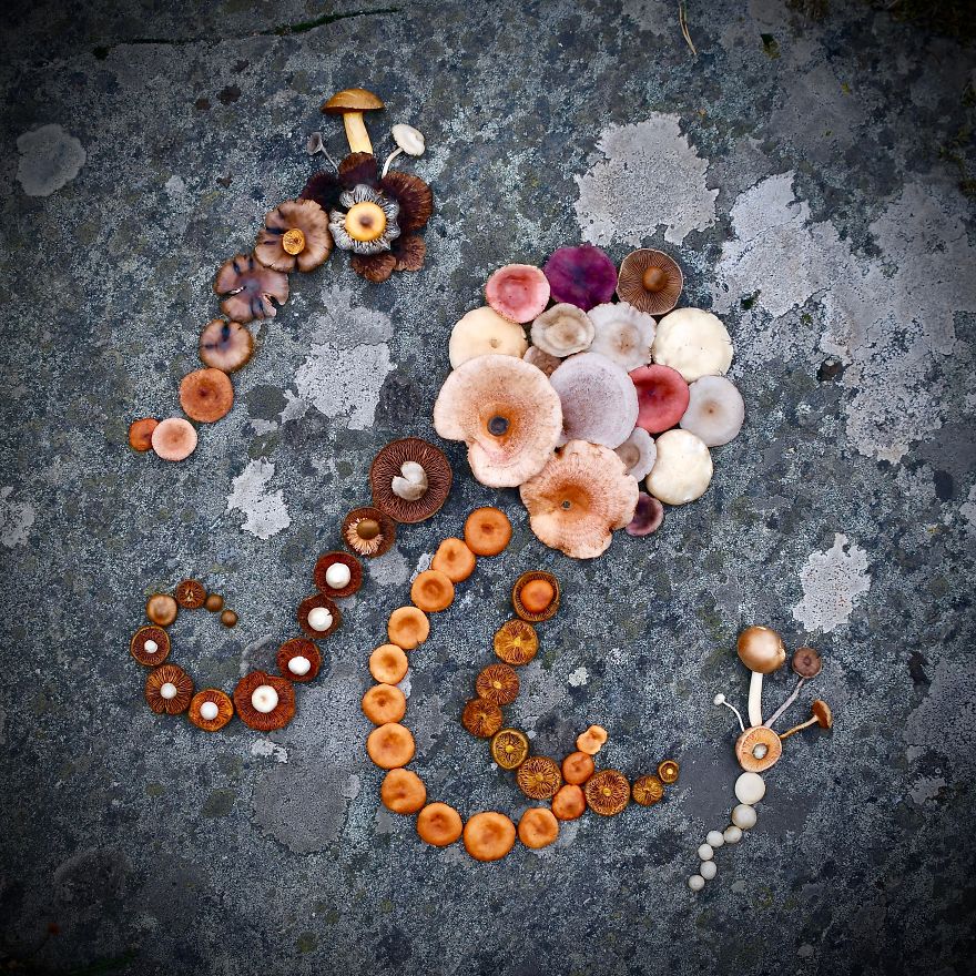 I Create My Own Dream World Using Wild Mushrooms