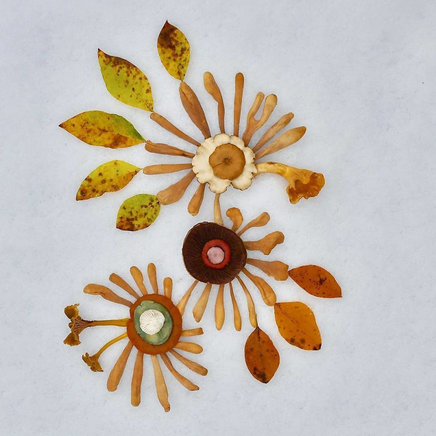 I Create My Own Dream World Using Wild Mushrooms