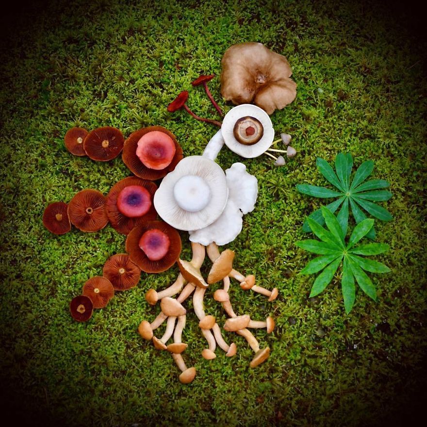 I Create My Own Dream World Using Wild Mushrooms