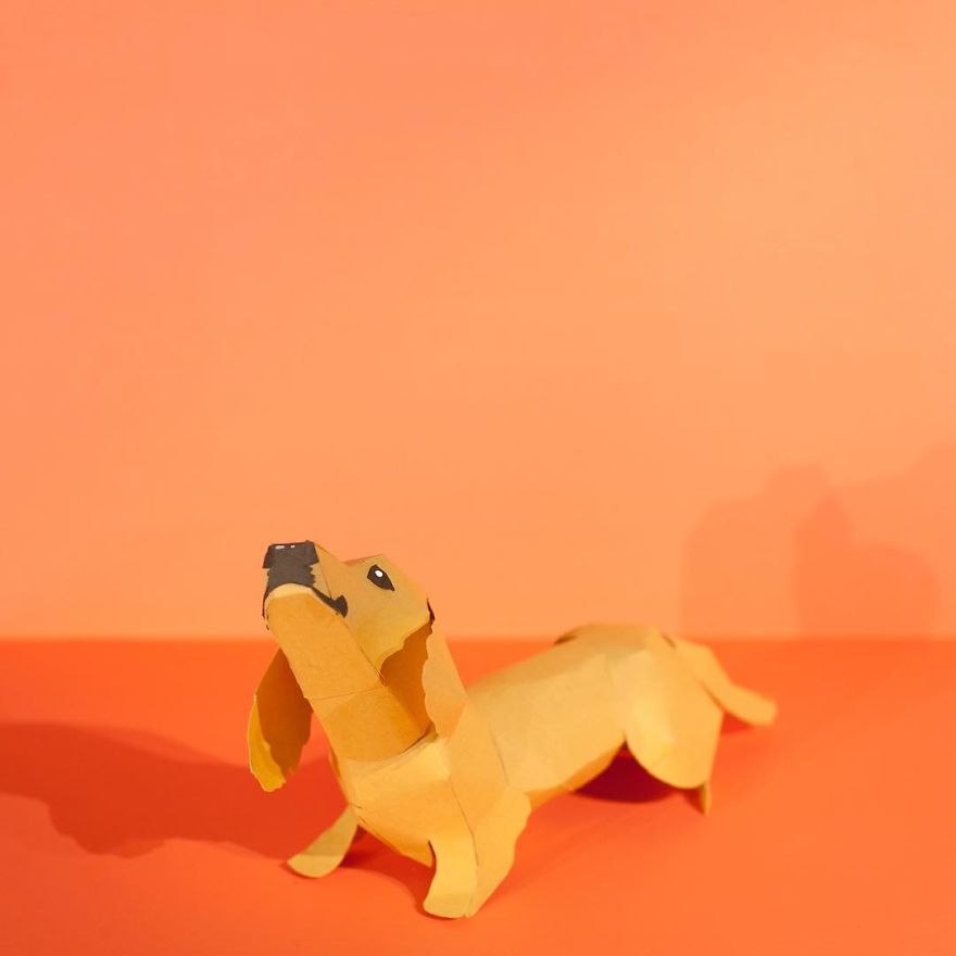 We’re An All-Female Animation Team That Makes Our Animations Out Of Paper We’re An All-Female Animation Team That Makes Our Animations Out Of Paper