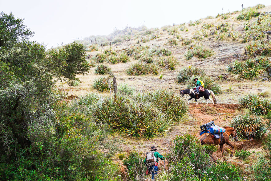 On The Incas Roads On The Incas Roads