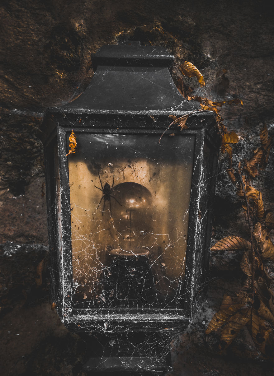 I Take Pictures With My Smartphone To Prove That It’s Not The Equipment That Matters I Take Pictures With My Smartphone To Prove That It’s Not The Equipment That Matters