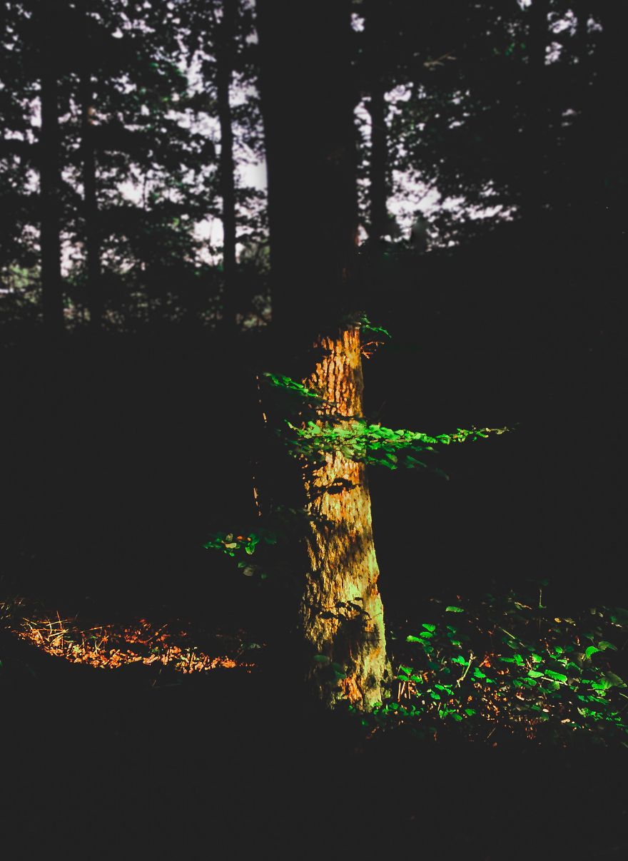 I Take Pictures With My Smartphone To Prove That It’s Not The Equipment That Matters I Take Pictures With My Smartphone To Prove That It’s Not The Equipment That Matters