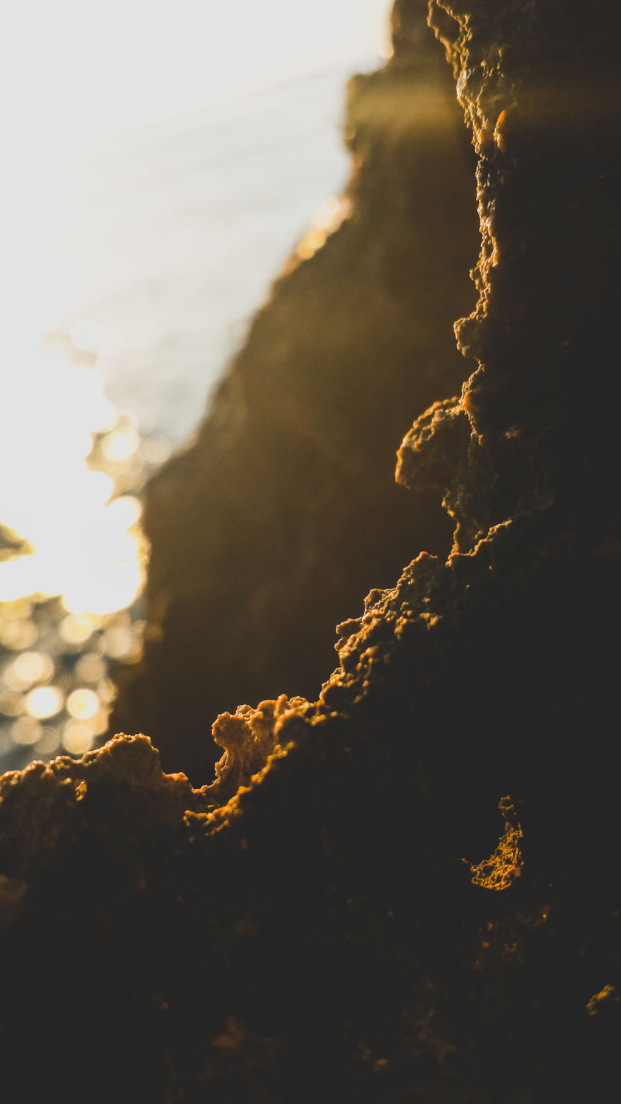 I Take Pictures With My Smartphone To Prove That It’s Not The Equipment That Matters I Take Pictures With My Smartphone To Prove That It’s Not The Equipment That Matters