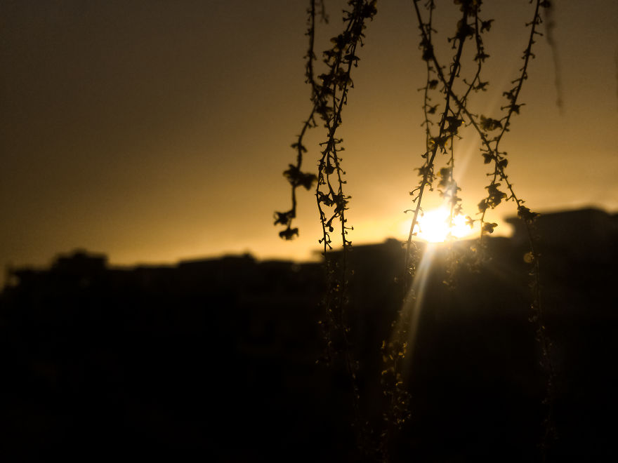 I Take Pictures With My Smartphone To Prove That It’s Not The Equipment That Matters I Take Pictures With My Smartphone To Prove That It’s Not The Equipment That Matters