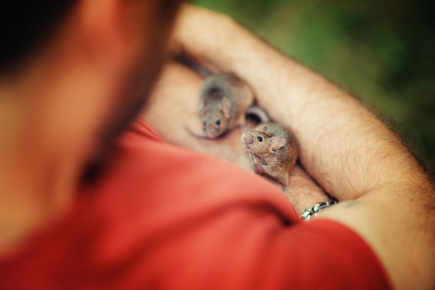 I Photographed Ex-Lab Rats And Mice Going Outdoors For The First Time, And Their Expressions Say It All I Photographed Ex-Lab Rats And Mice Going Outdoors For The First Time, And Their Expressions Say It All