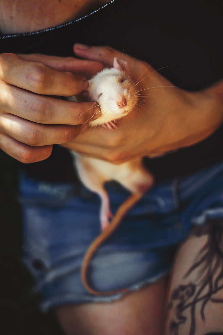 I Photographed Ex-Lab Rats And Mice Going Outdoors For The First Time, And Their Expressions Say It All I Photographed Ex-Lab Rats And Mice Going Outdoors For The First Time, And Their Expressions Say It All
