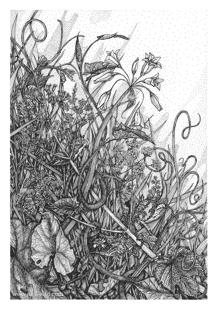 ‘ Vitamin N ‘ Or How I Reconnected With Nature By Illustrating London’s Hidden Flora ‘ Vitamin N ‘ Or How I Reconnected With Nature By Illustrating London’s Hidden Flora