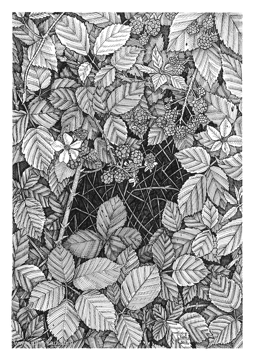 ‘ Vitamin N ‘ Or How I Reconnected With Nature By Illustrating London’s Hidden Flora ‘ Vitamin N ‘ Or How I Reconnected With Nature By Illustrating London’s Hidden Flora