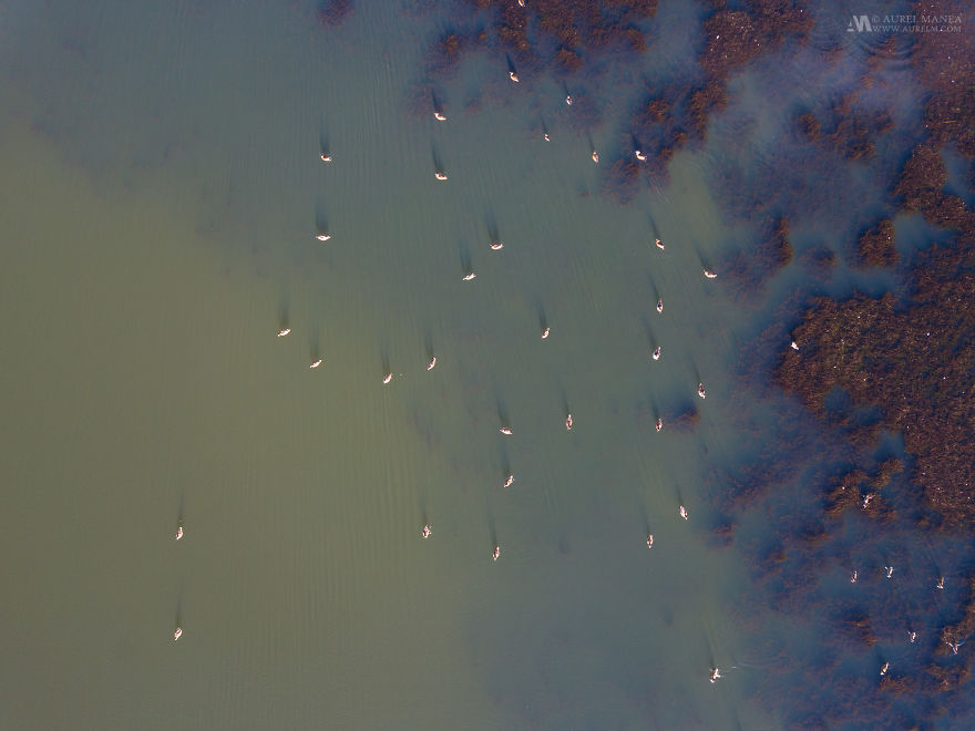 Capturing The Incredible Patterns Of Iceland From A Drone Capturing The Incredible Patterns Of Iceland From A Drone