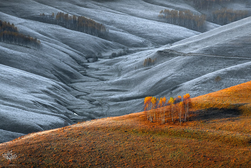 I Photographed The Mystical Land Of Transylvania I Photographed The Mystical Land Of Transylvania