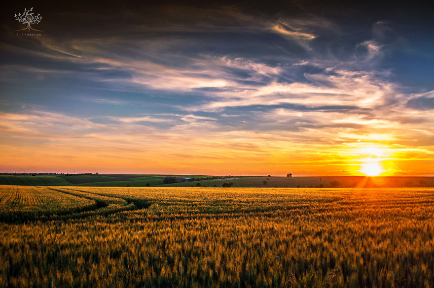 I Photographed The Mystical Land Of Transylvania I Photographed The Mystical Land Of Transylvania