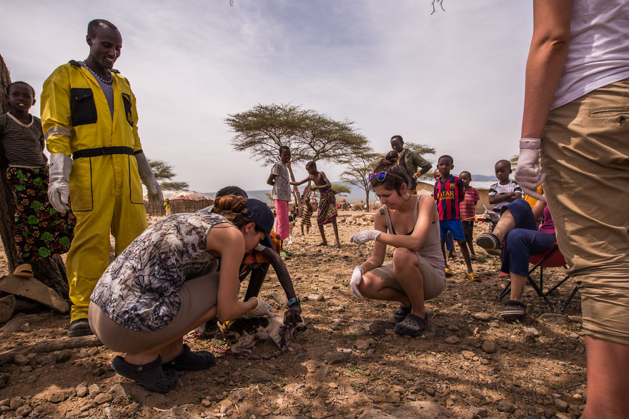 What A Veterinary Rabies Vaccination Program Looks Like In Africa What A Veterinary Rabies Vaccination Program Looks Like In Africa