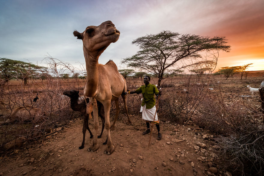 What A Veterinary Rabies Vaccination Program Looks Like In Africa What A Veterinary Rabies Vaccination Program Looks Like In Africa