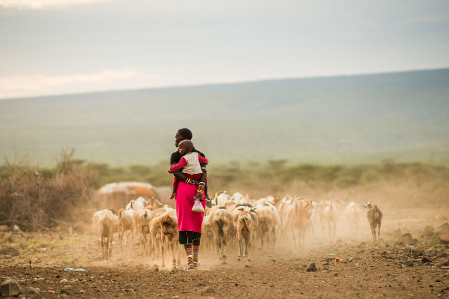 What A Veterinary Rabies Vaccination Program Looks Like In Africa What A Veterinary Rabies Vaccination Program Looks Like In Africa