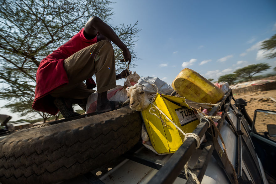 What A Veterinary Rabies Vaccination Program Looks Like In Africa What A Veterinary Rabies Vaccination Program Looks Like In Africa