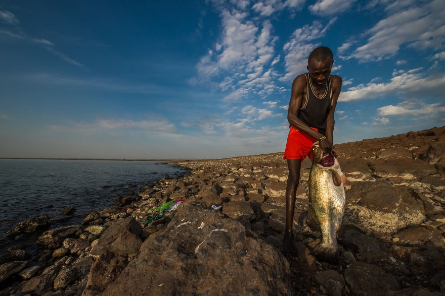 What A Veterinary Rabies Vaccination Program Looks Like In Africa What A Veterinary Rabies Vaccination Program Looks Like In Africa