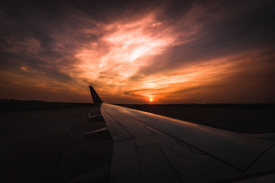 What A Veterinary Rabies Vaccination Program Looks Like In Africa What A Veterinary Rabies Vaccination Program Looks Like In Africa